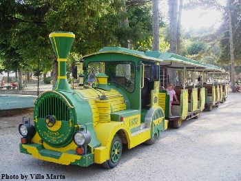 The train tours the park.